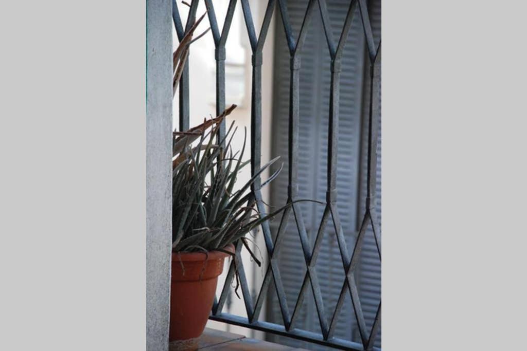 Apartamento Centro Encarnacion 2º I Lejlighed Sevilla Eksteriør billede